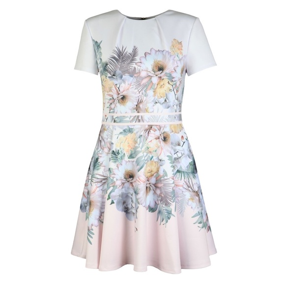 Ted Baker London Dresses & Skirts - Ted Baker London Haylinn Woodland Jersey Skater Dress Floral Pink White Size S